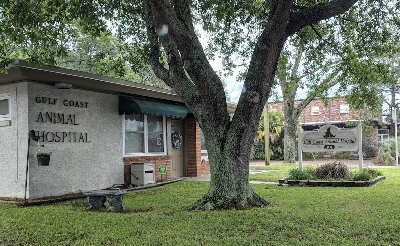 Gulf Coast Animal Hospital Building