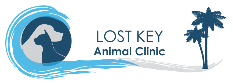 Lost Key Animal Clinic Logo