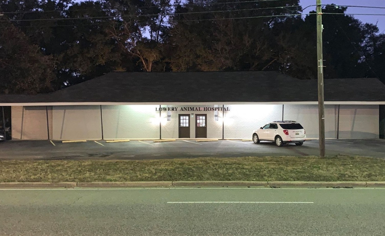 Lowery Animal Hospital Building